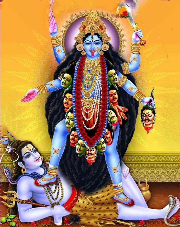 kali images