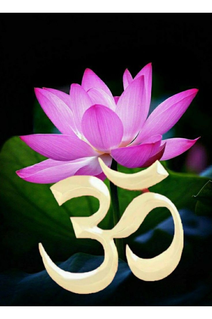 om shanti photos