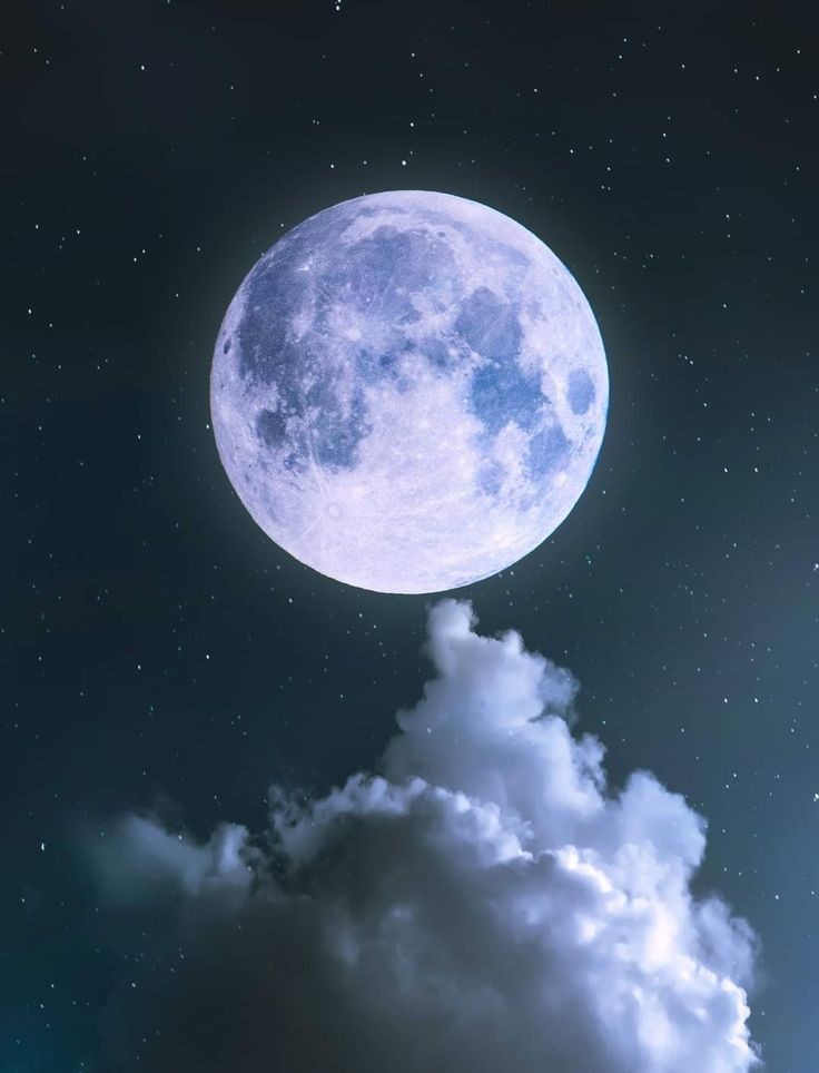 prem chand photo